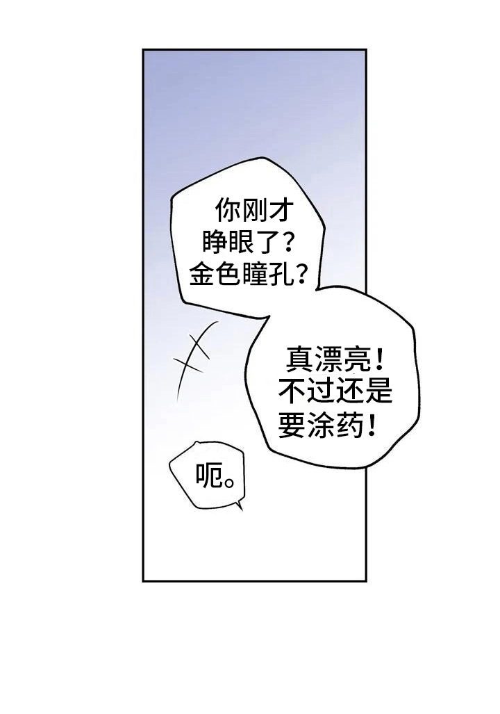 第4章：老虎10