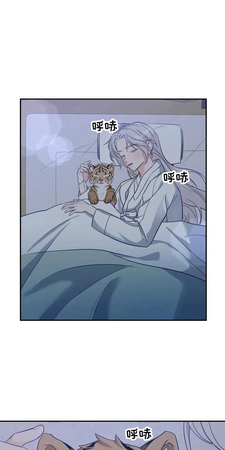 第4章：老虎12