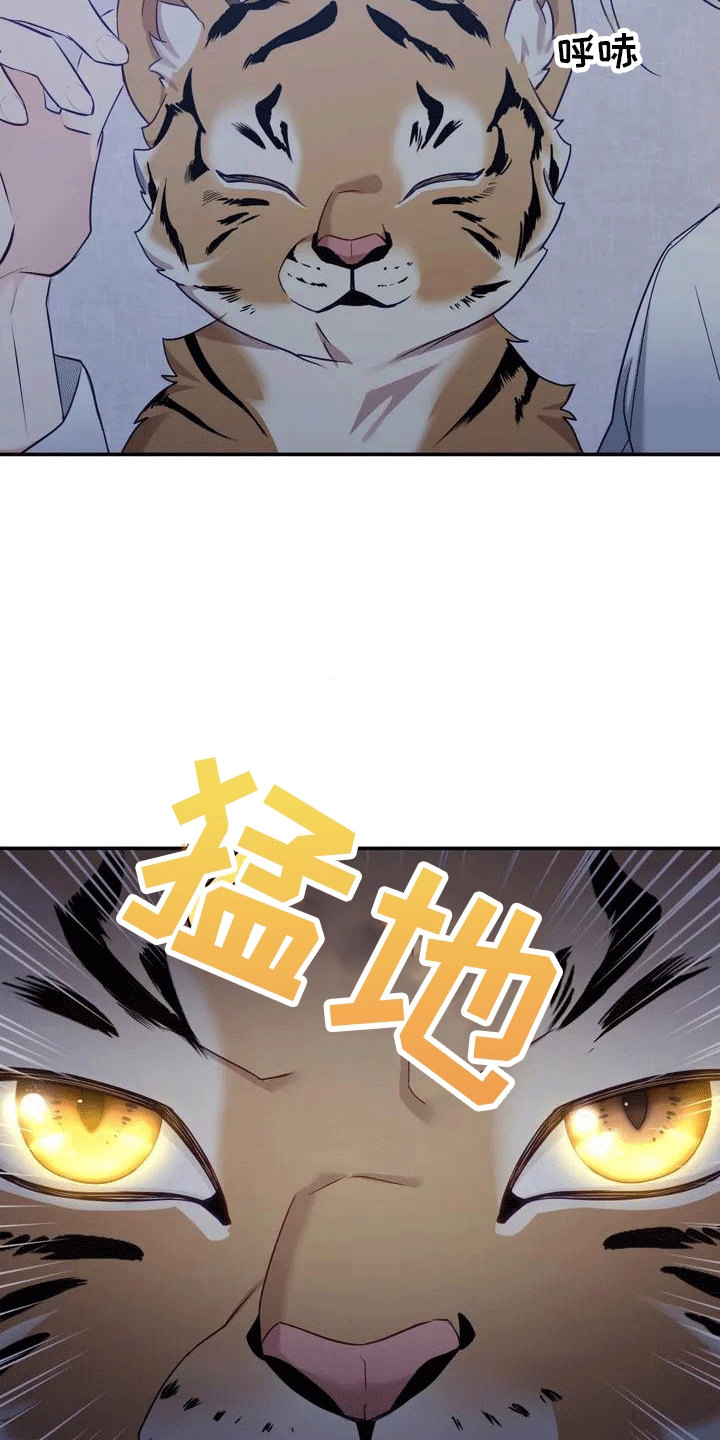 第4章：老虎13