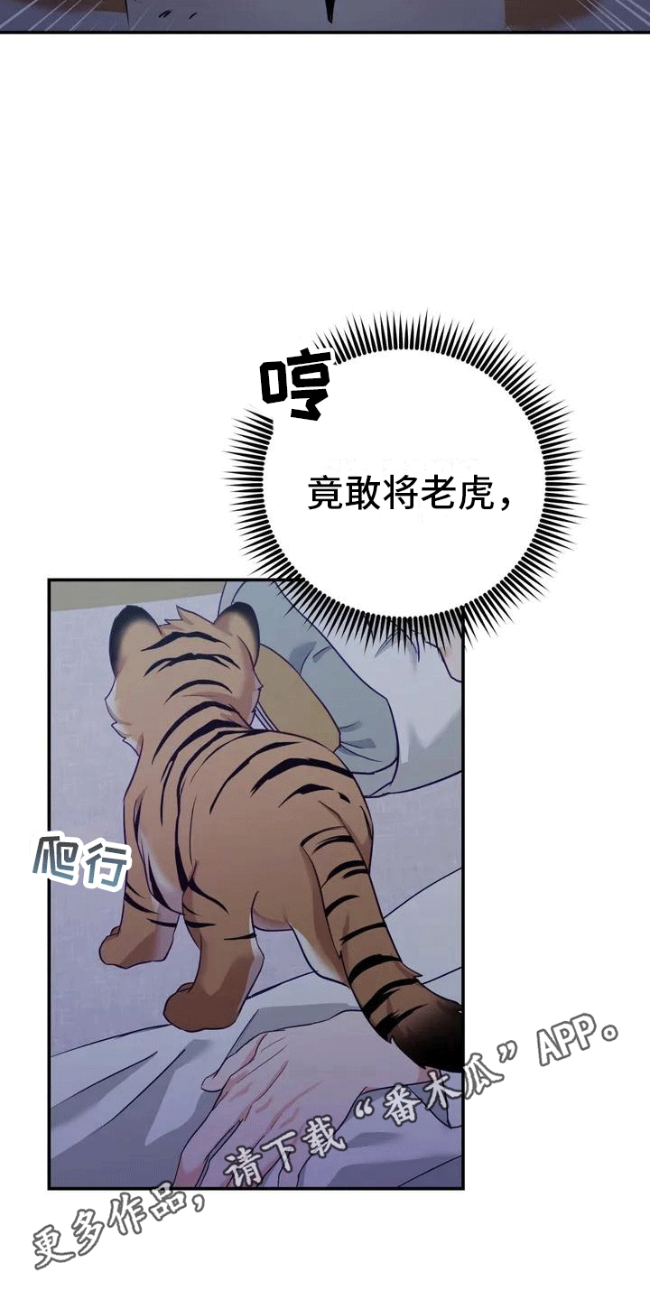 第4章：老虎14