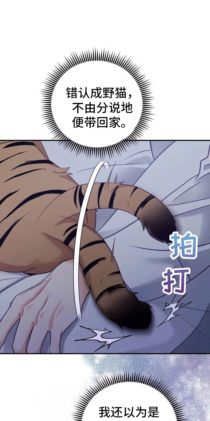 第4章：老虎15