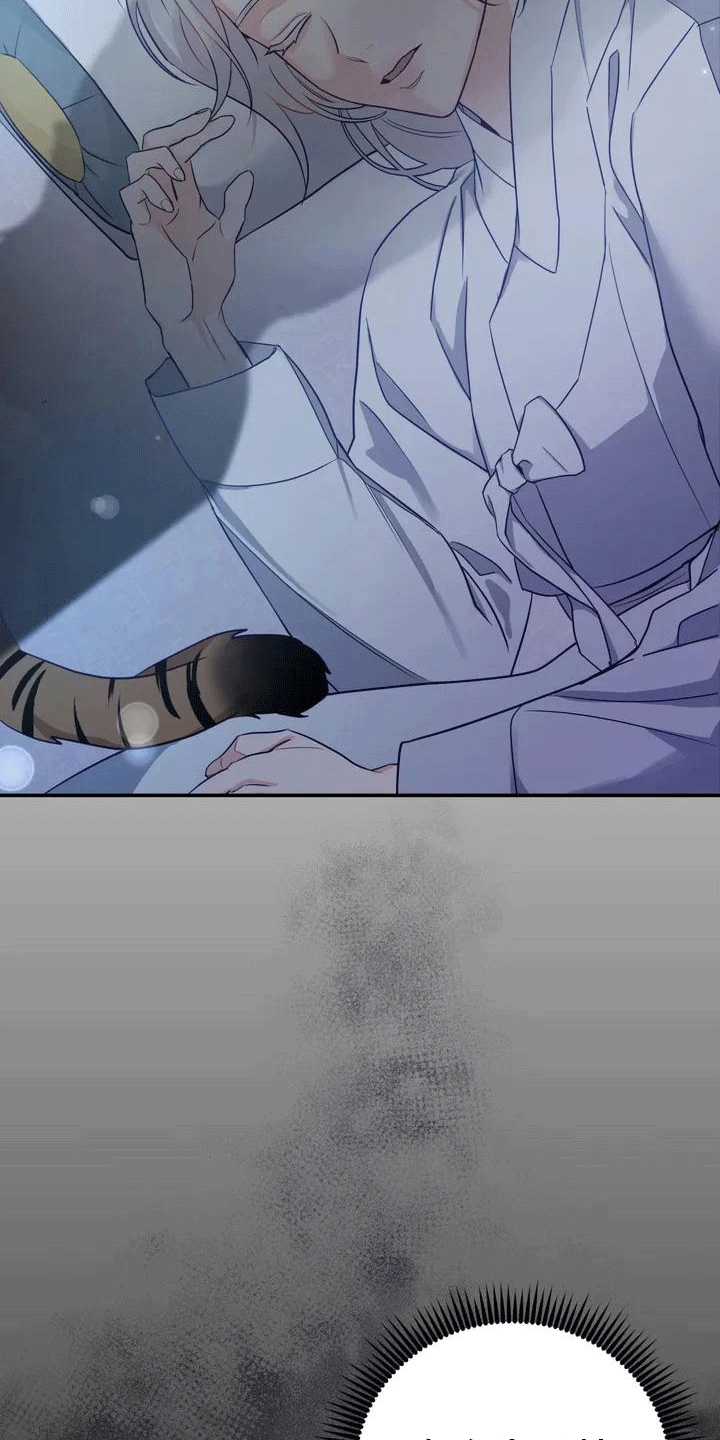第4章：老虎17