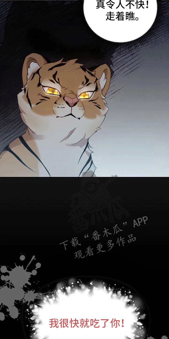 第4章：老虎18