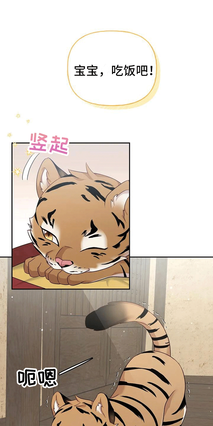 第4章：老虎21