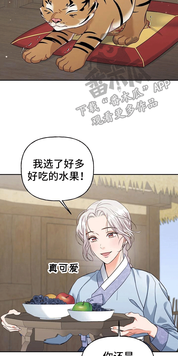 第4章：老虎22