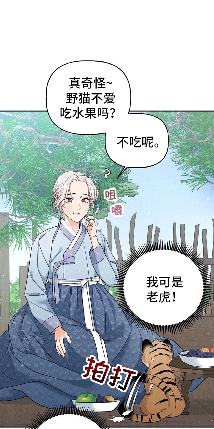 第4章：老虎24