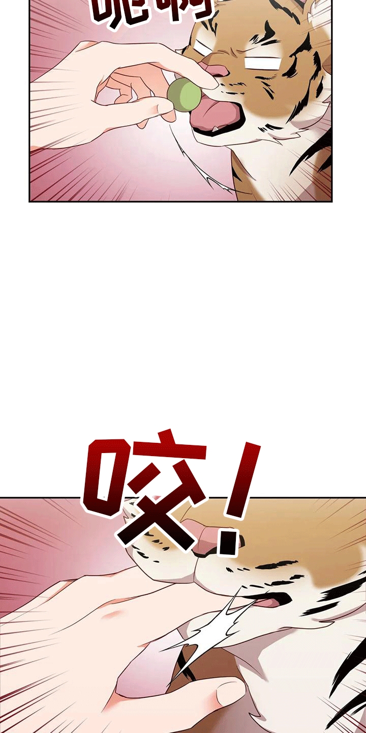 第4章：老虎27