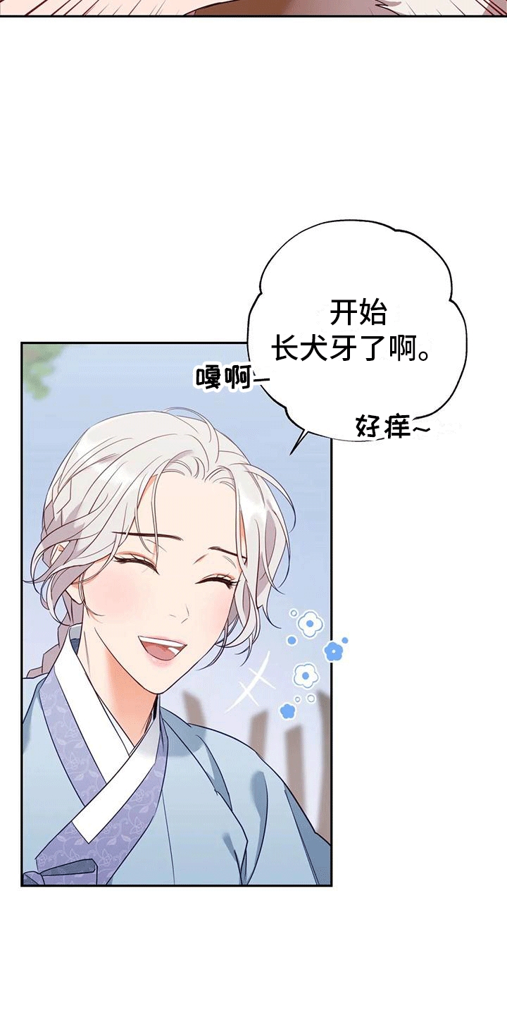 第4章：老虎28