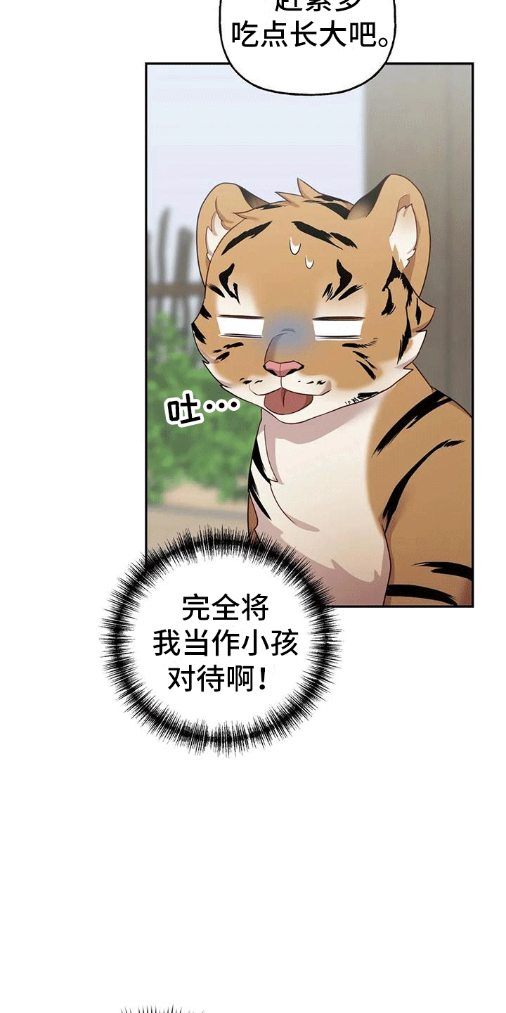 第4章：老虎30