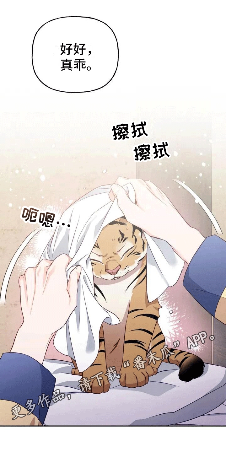 第4章：老虎6