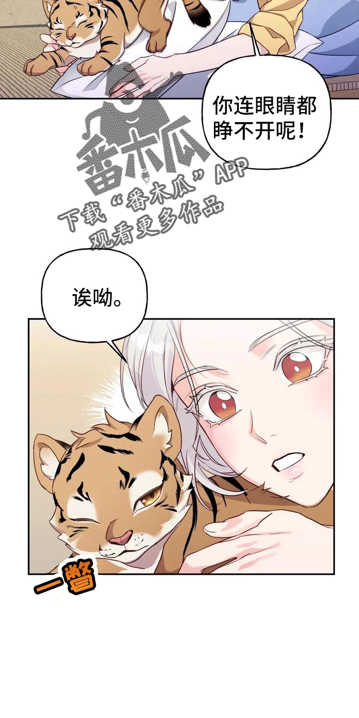 第4章：老虎9