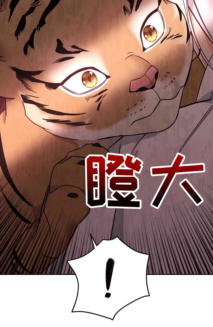 第8章：暴露14