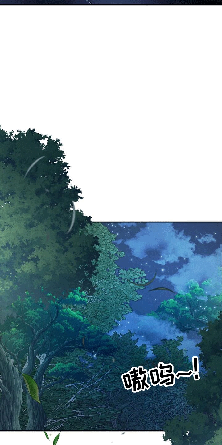 第8章：暴露19