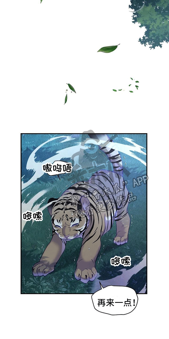 第8章：暴露20