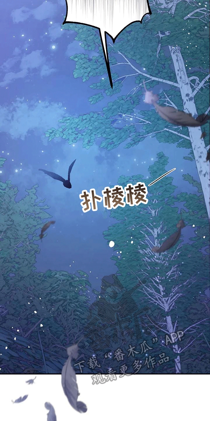 第8章：暴露24