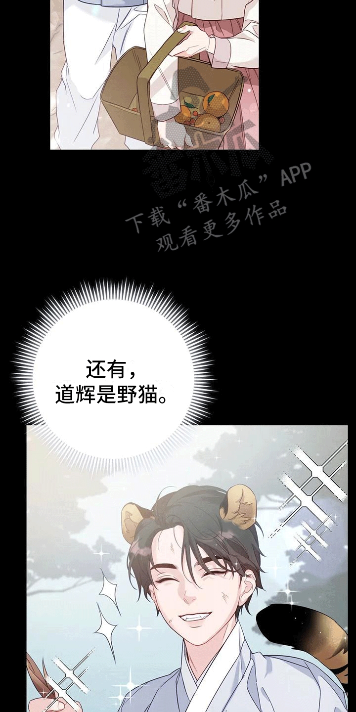 第9章：化人31