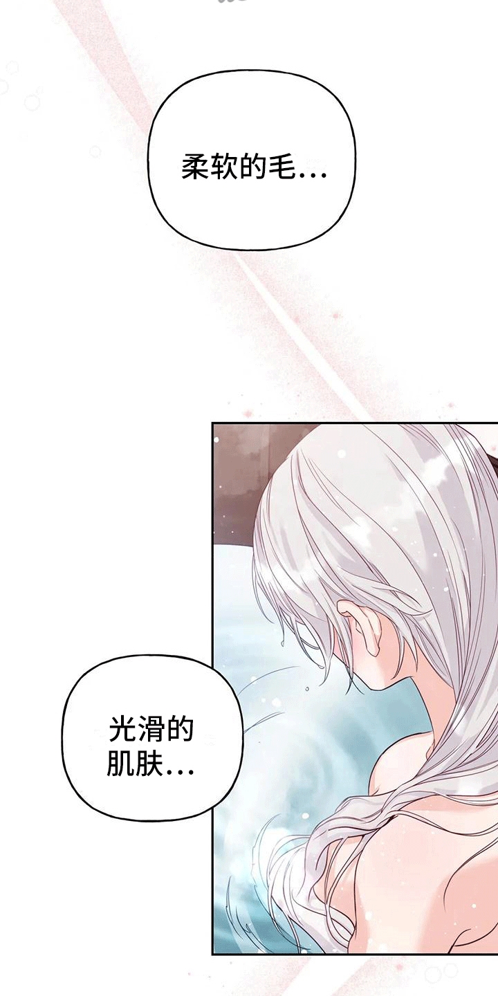 第11章：梦中12