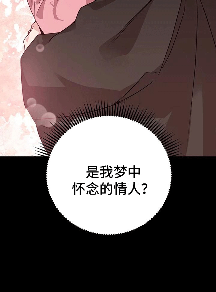 第11章：梦中39