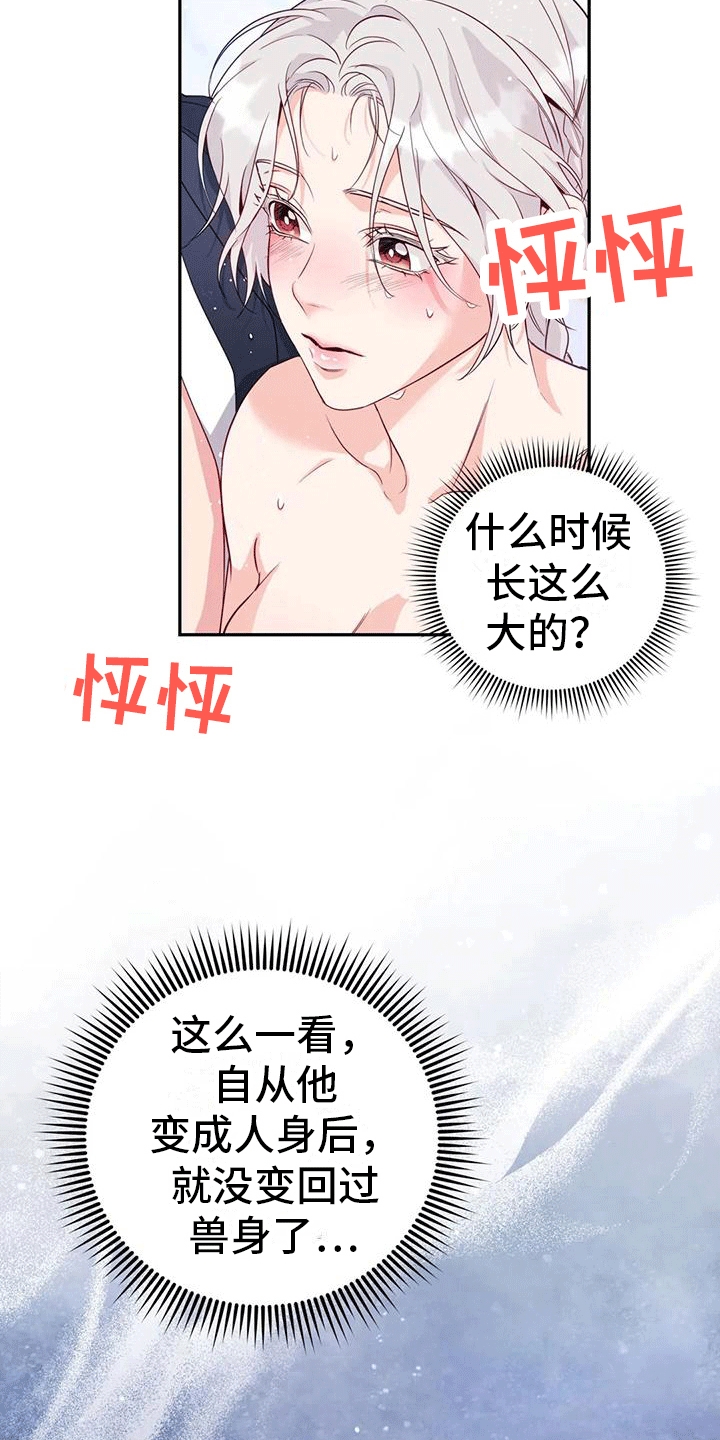 第11章：梦中5