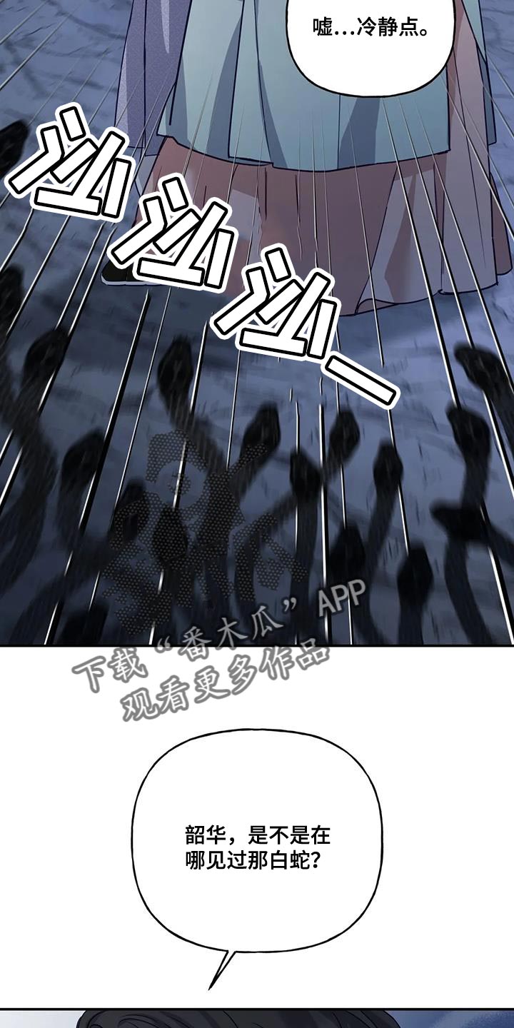 第14章：白蛇29