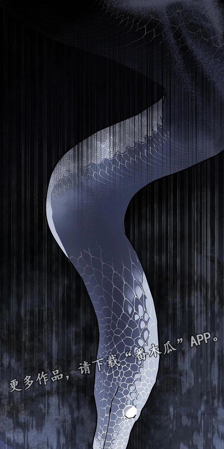 第14章：白蛇36