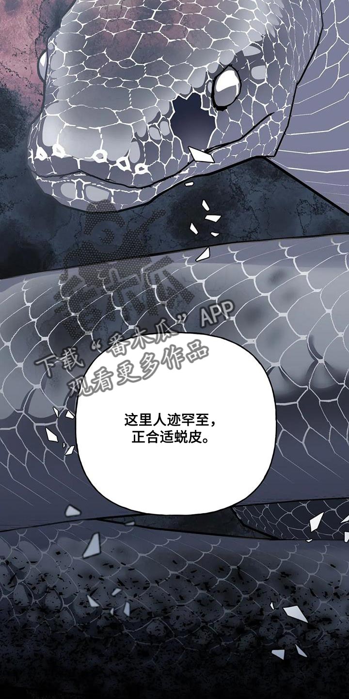 第15章：阳气不足10