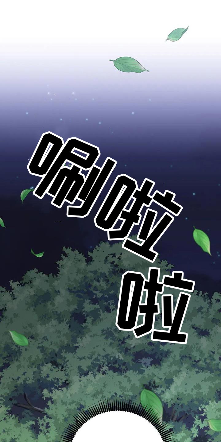 第19章：悄悄跟上去23