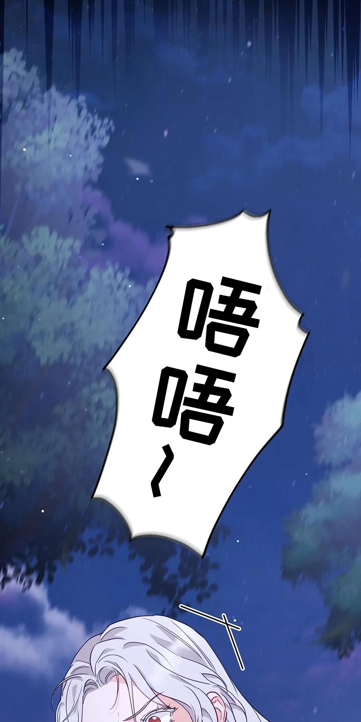 第20章：狐狸的哭声17