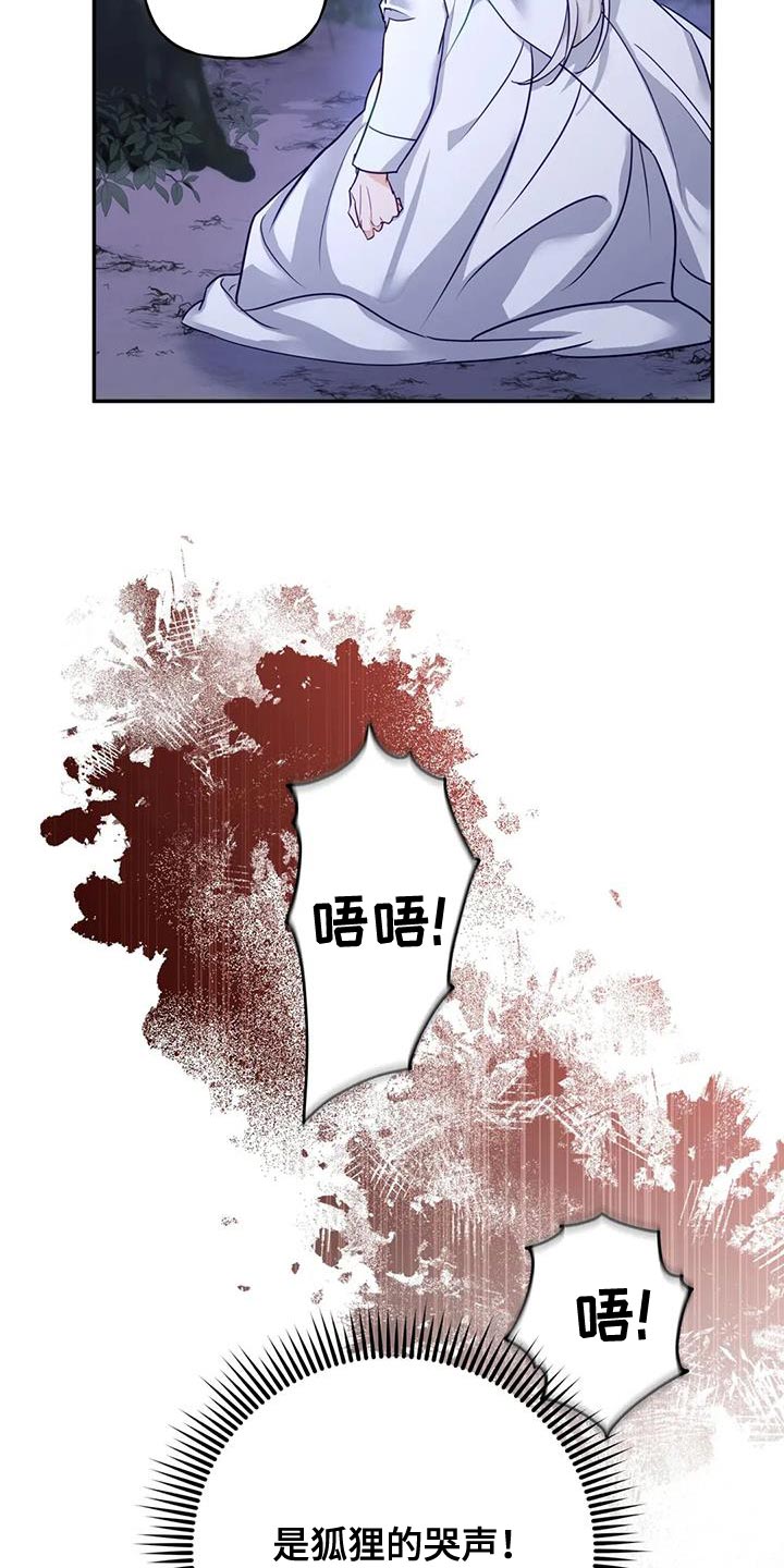 第20章：狐狸的哭声19