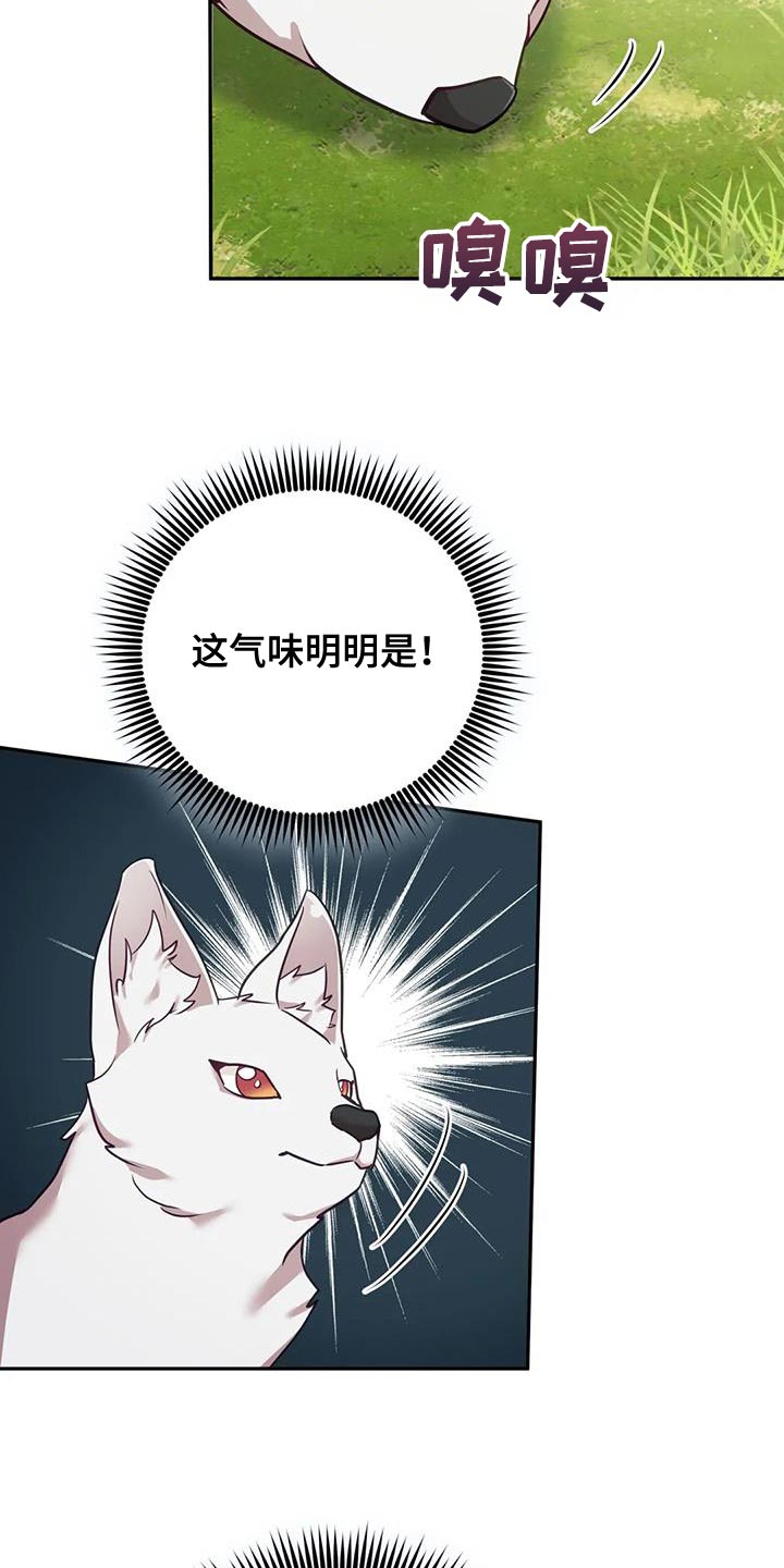 第26章：大本营21