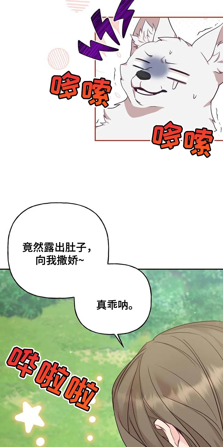 第27章：毒草6