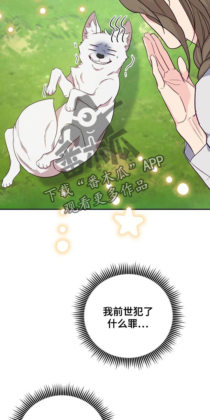 第27章：毒草7
