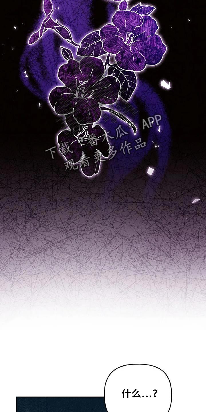 第28章：什么味道都闻不到1