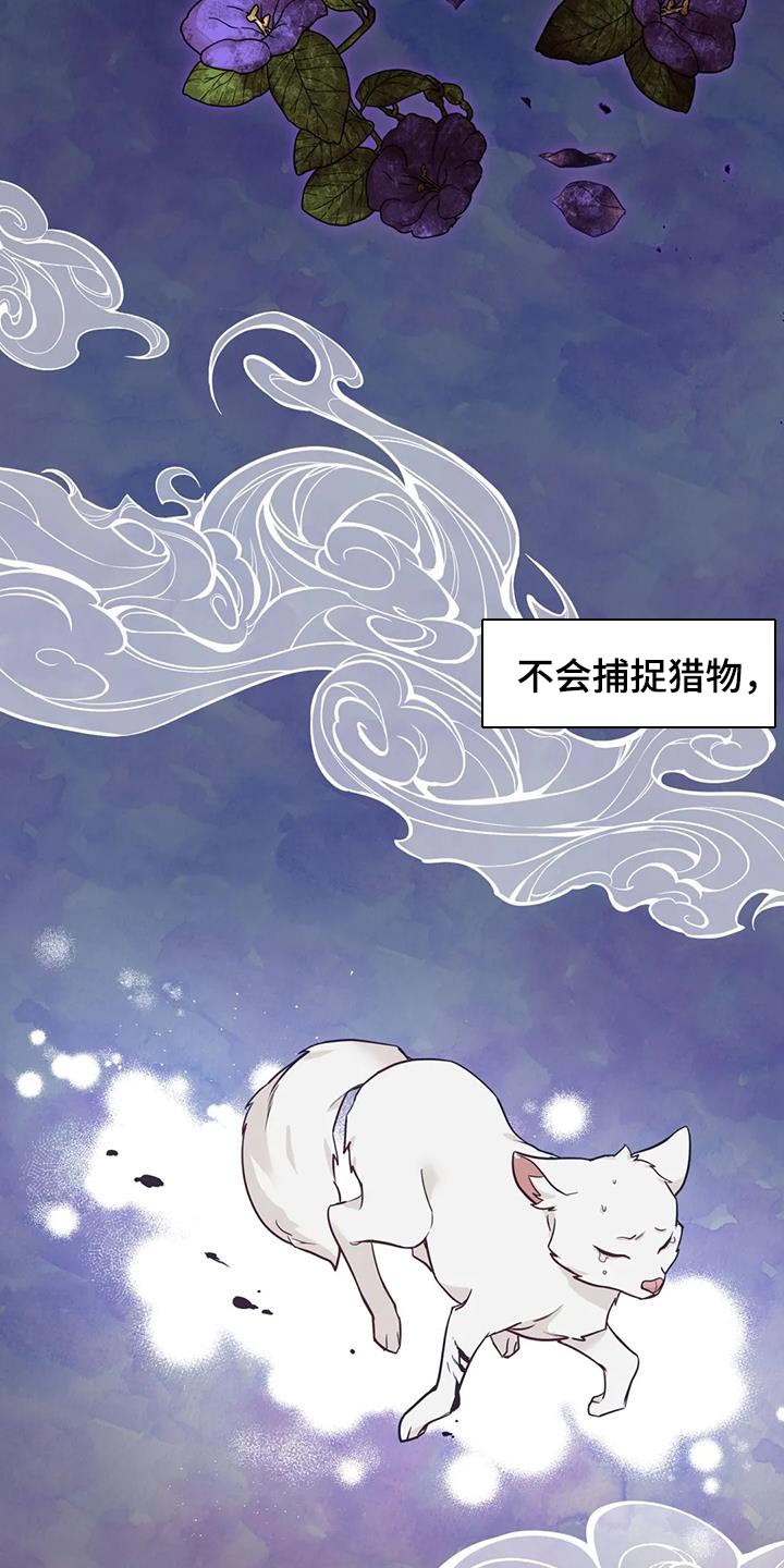 第28章：什么味道都闻不到15