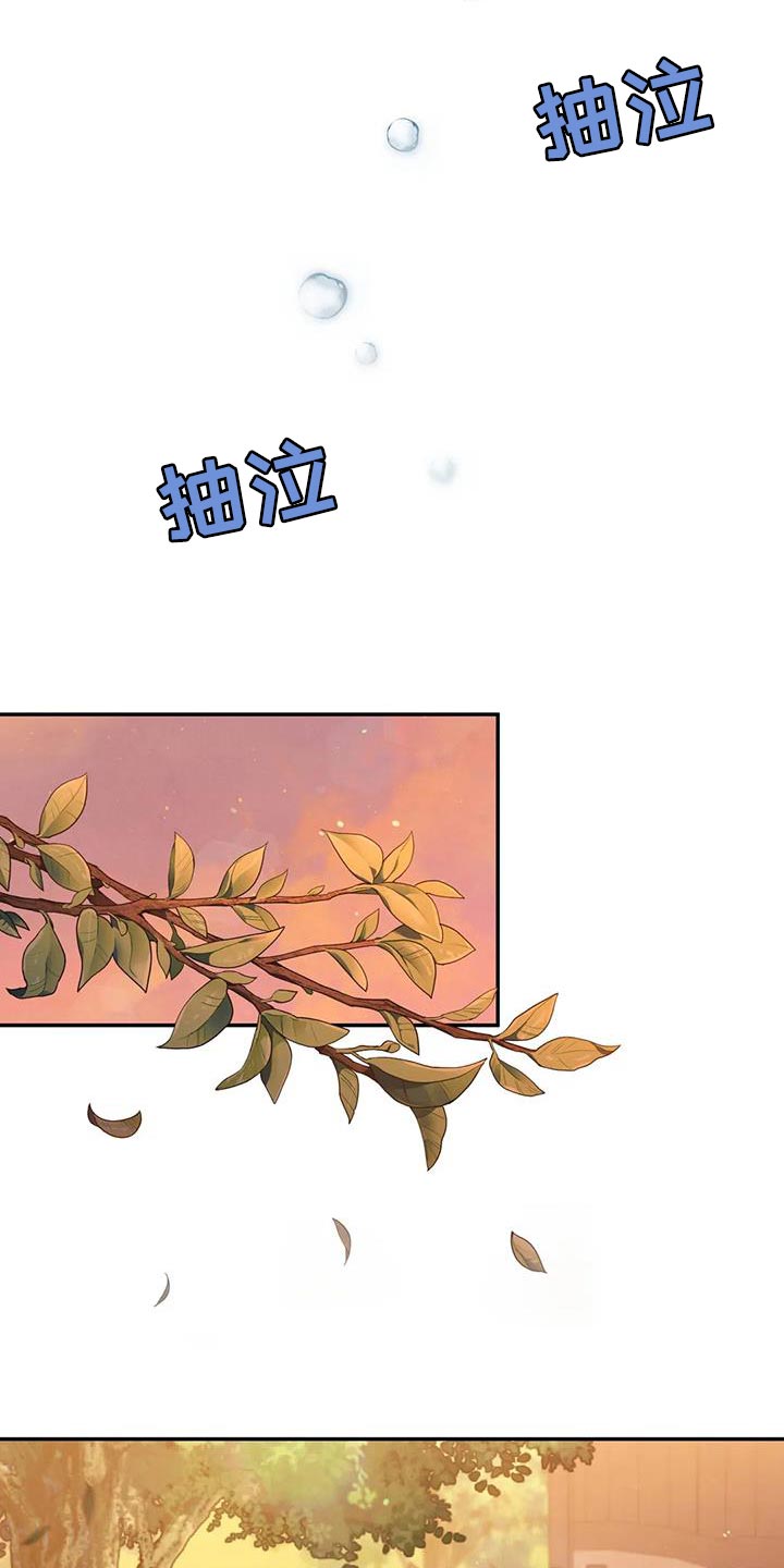 第28章：什么味道都闻不到19