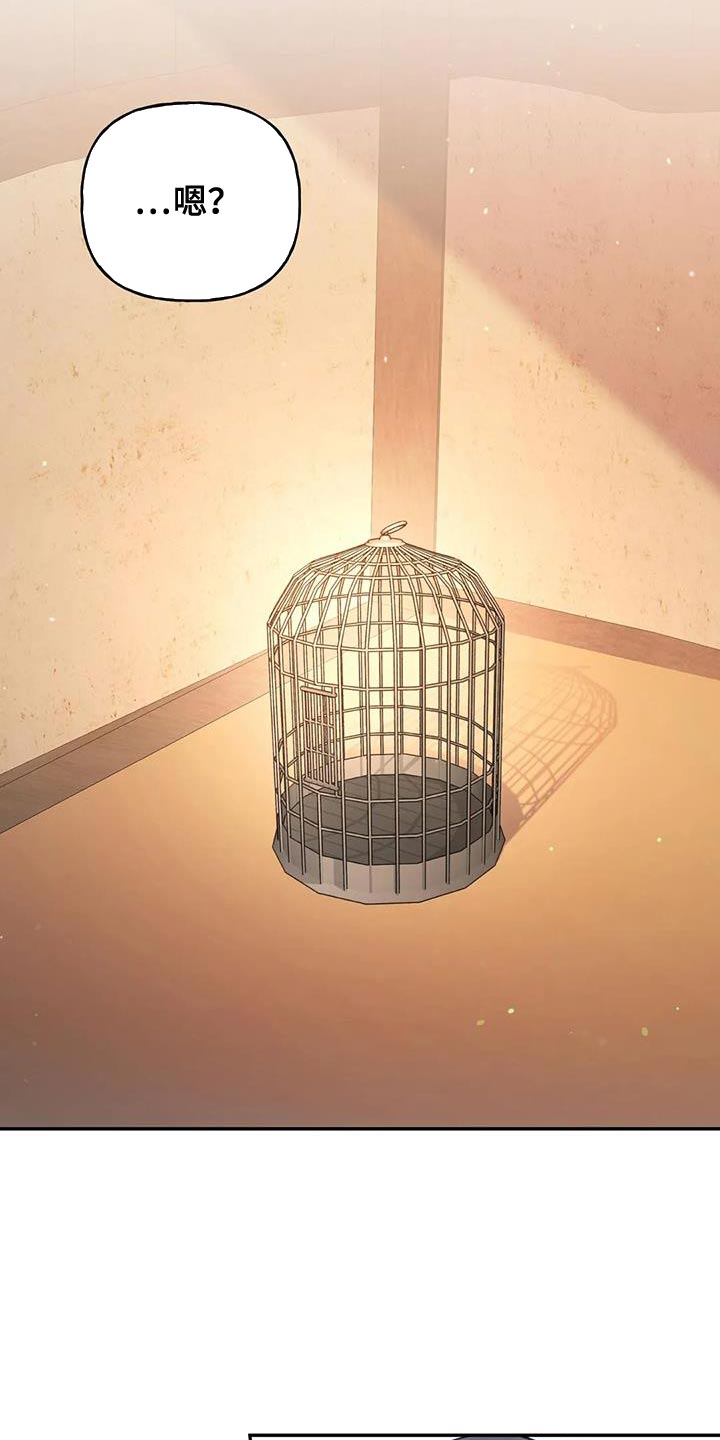 第31章：漂亮的小鸟17