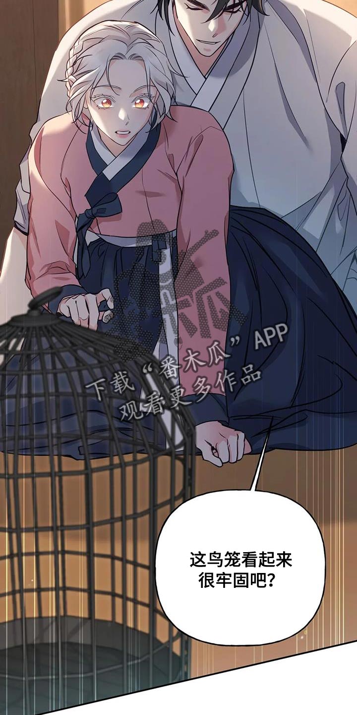 第31章：漂亮的小鸟19