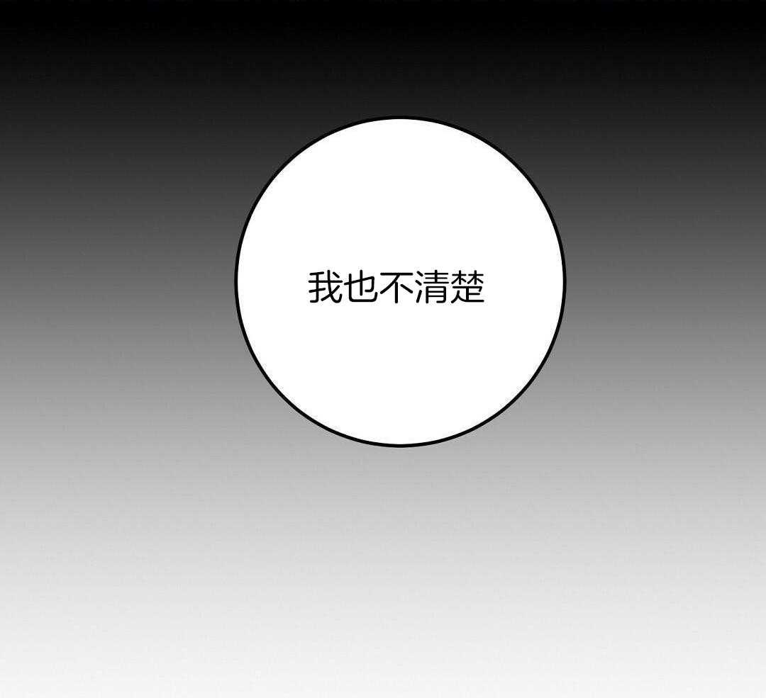 第53话24