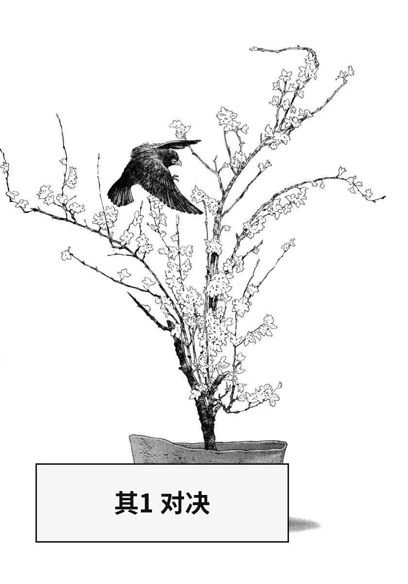 第14卷10
