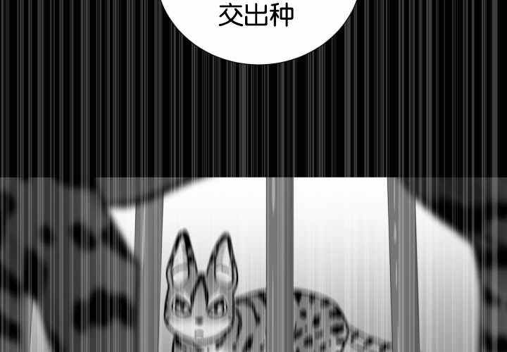 第49话14