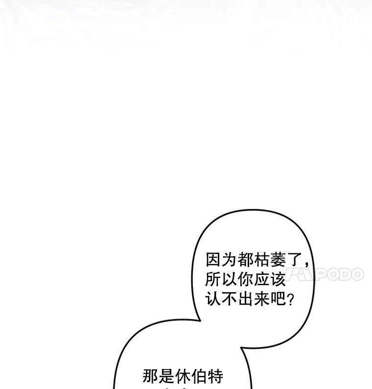 第20话85