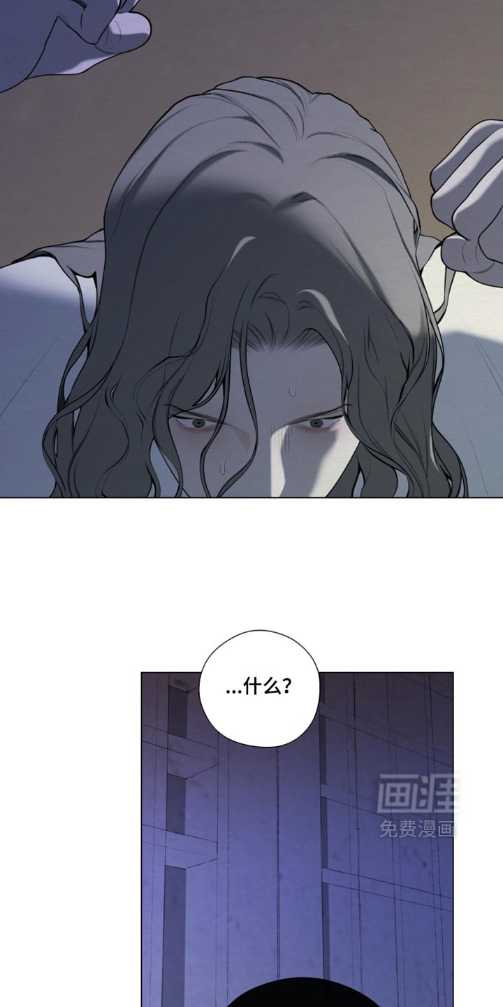 第97话5