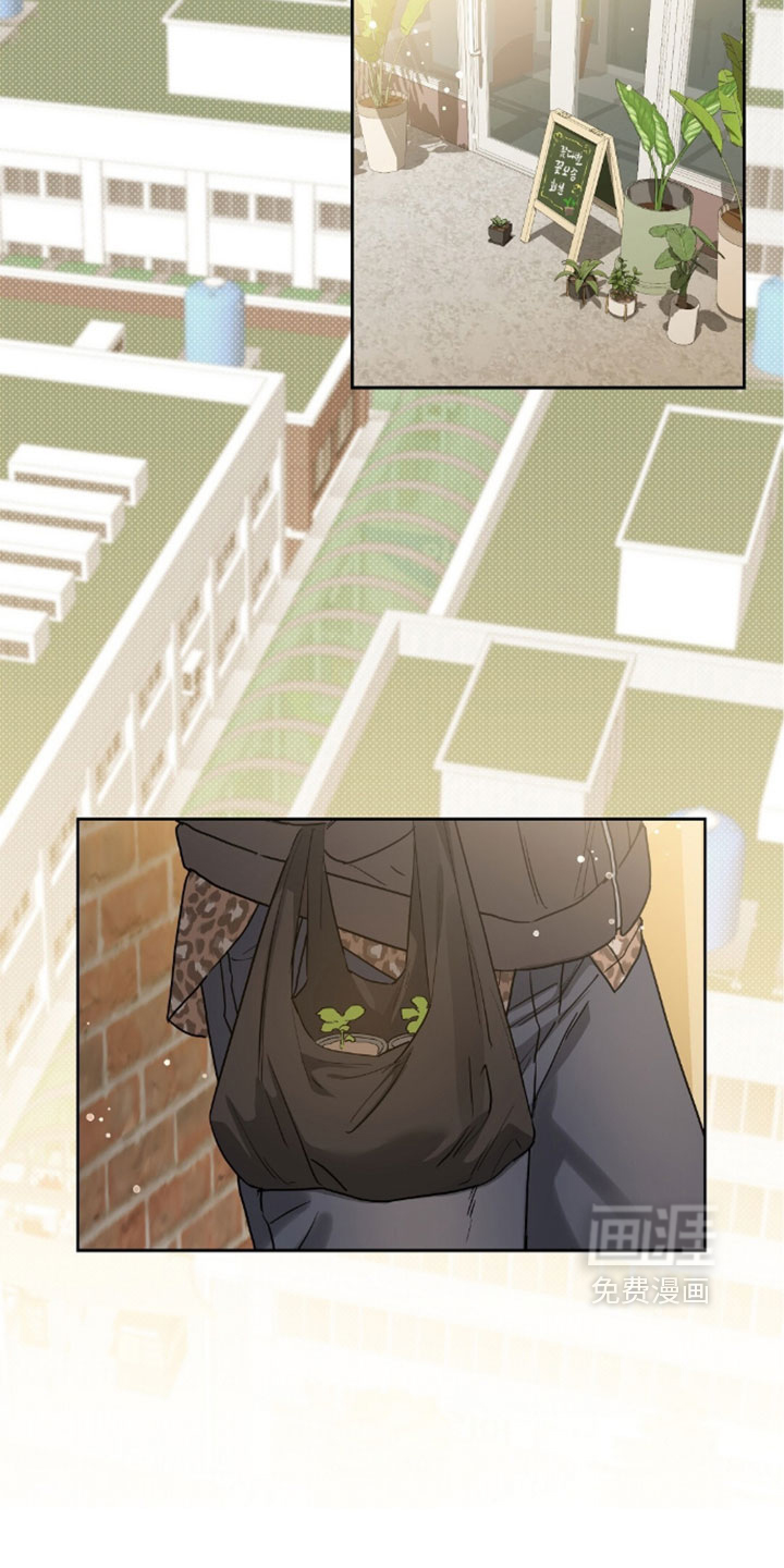 第100话1