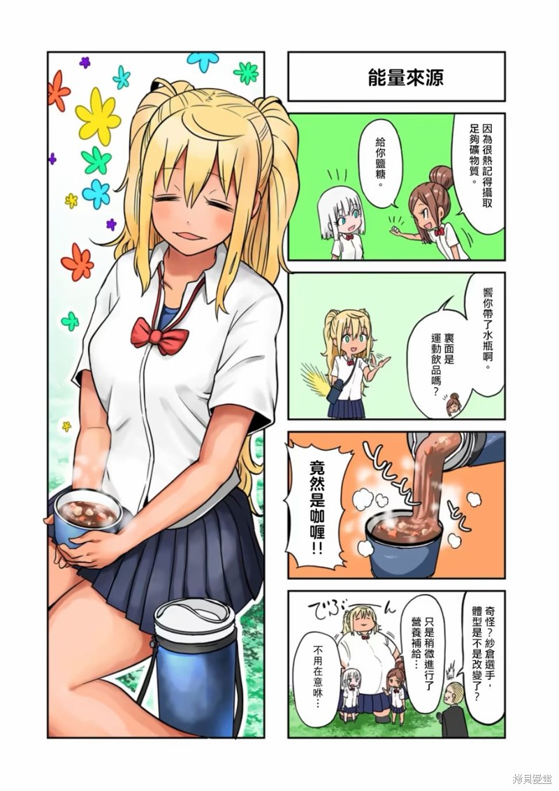 12卷4格8