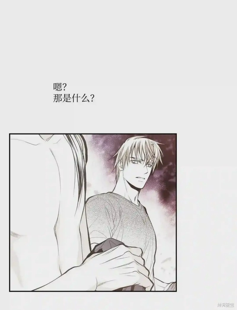 第42话13