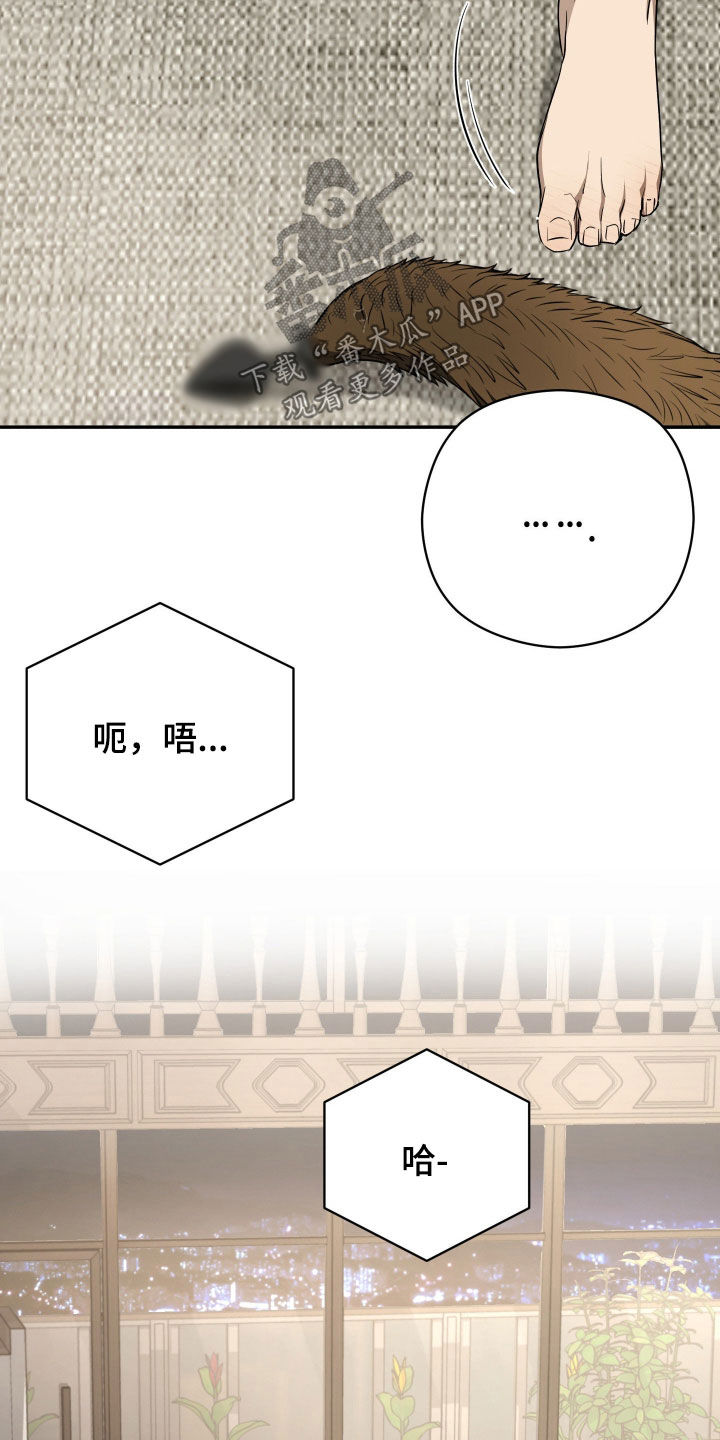 第110话19