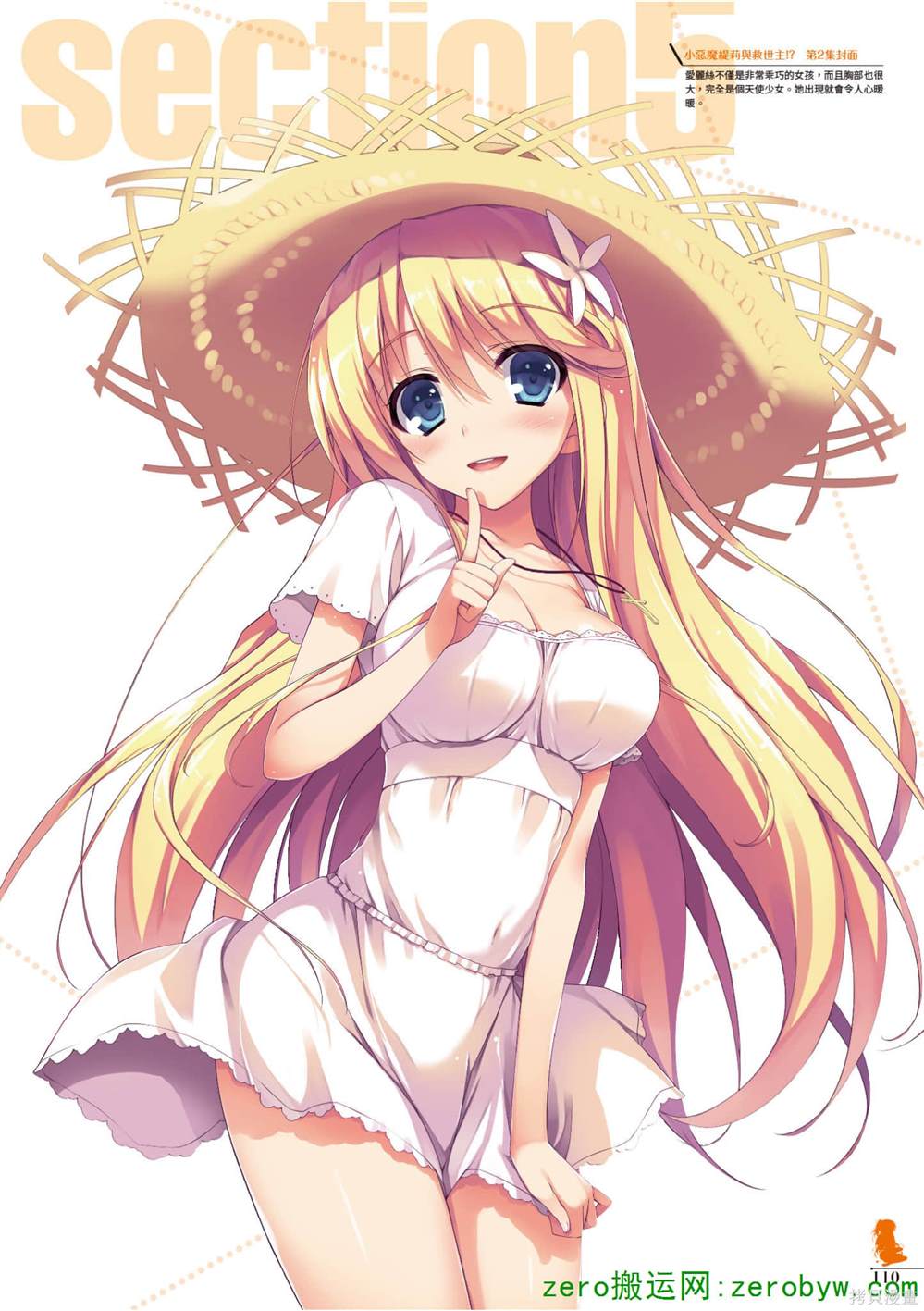 画集110