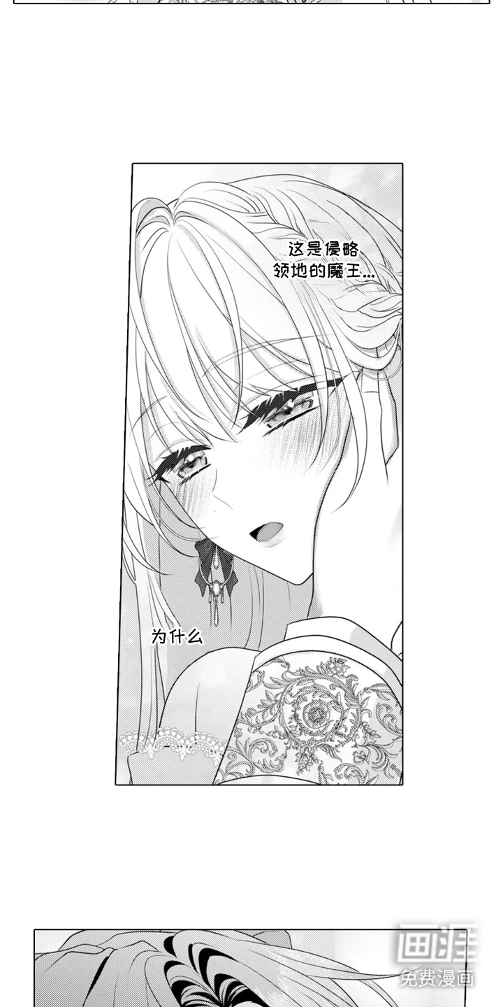 第2章：魔王的女人：温柔的他14
