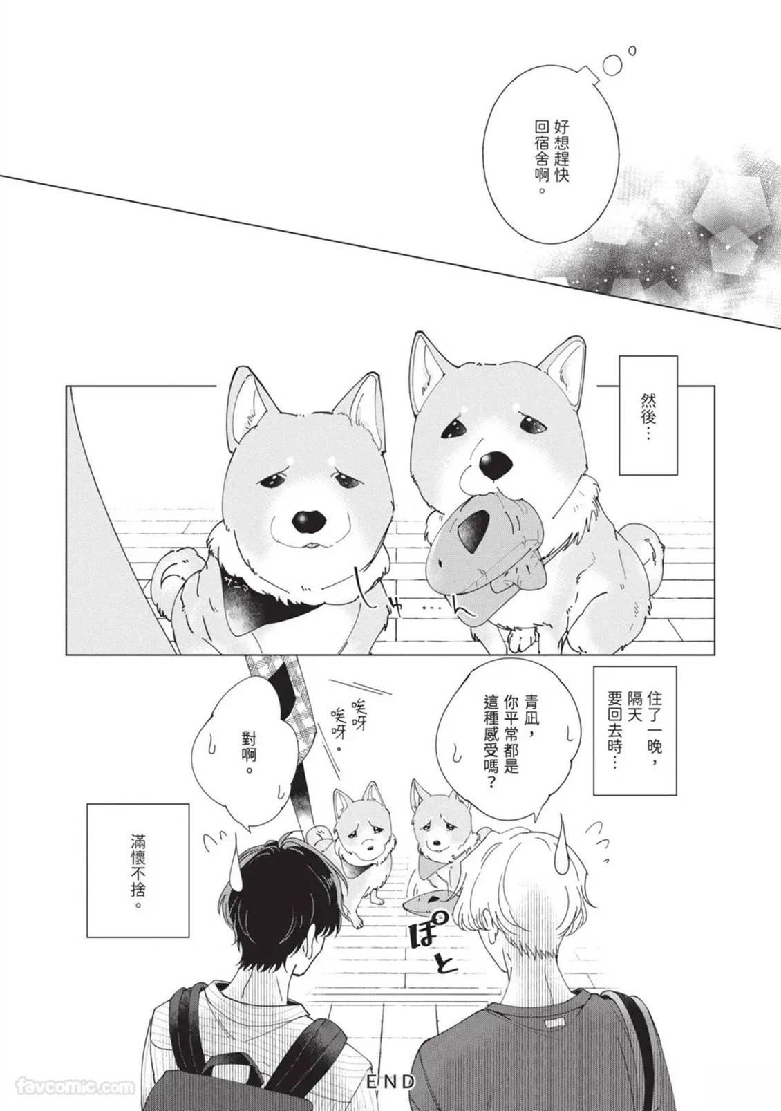 加笔11