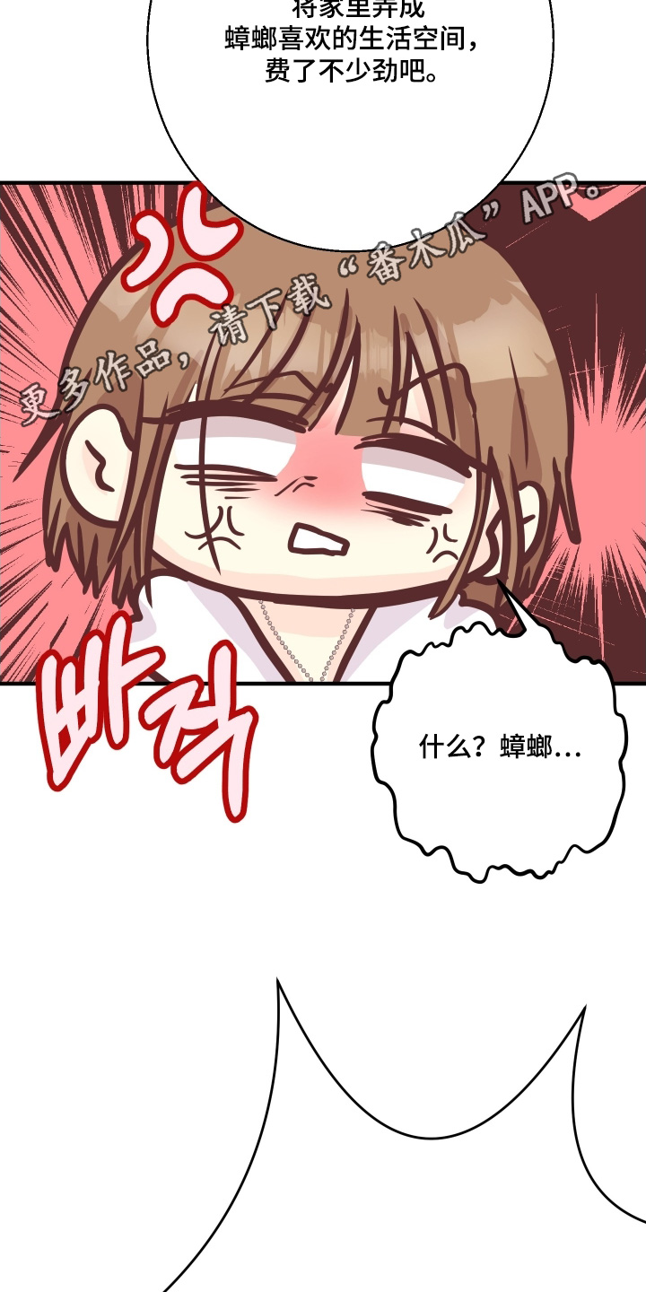 第27话24